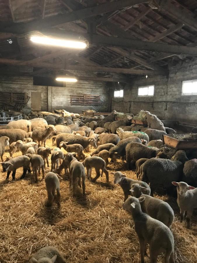 הוילה ארל Studio A La Ferme מראה חיצוני תמונה