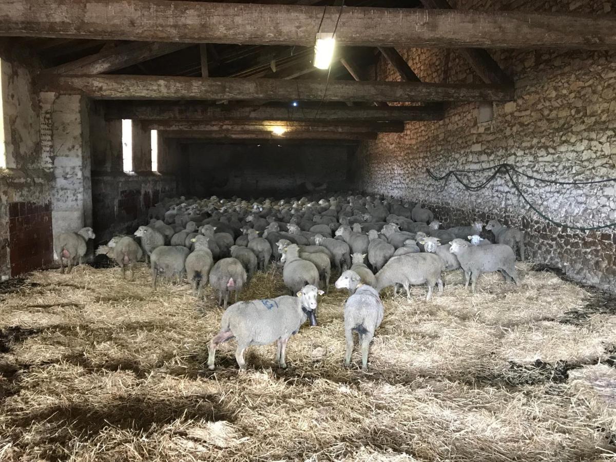 הוילה ארל Studio A La Ferme מראה חיצוני תמונה
