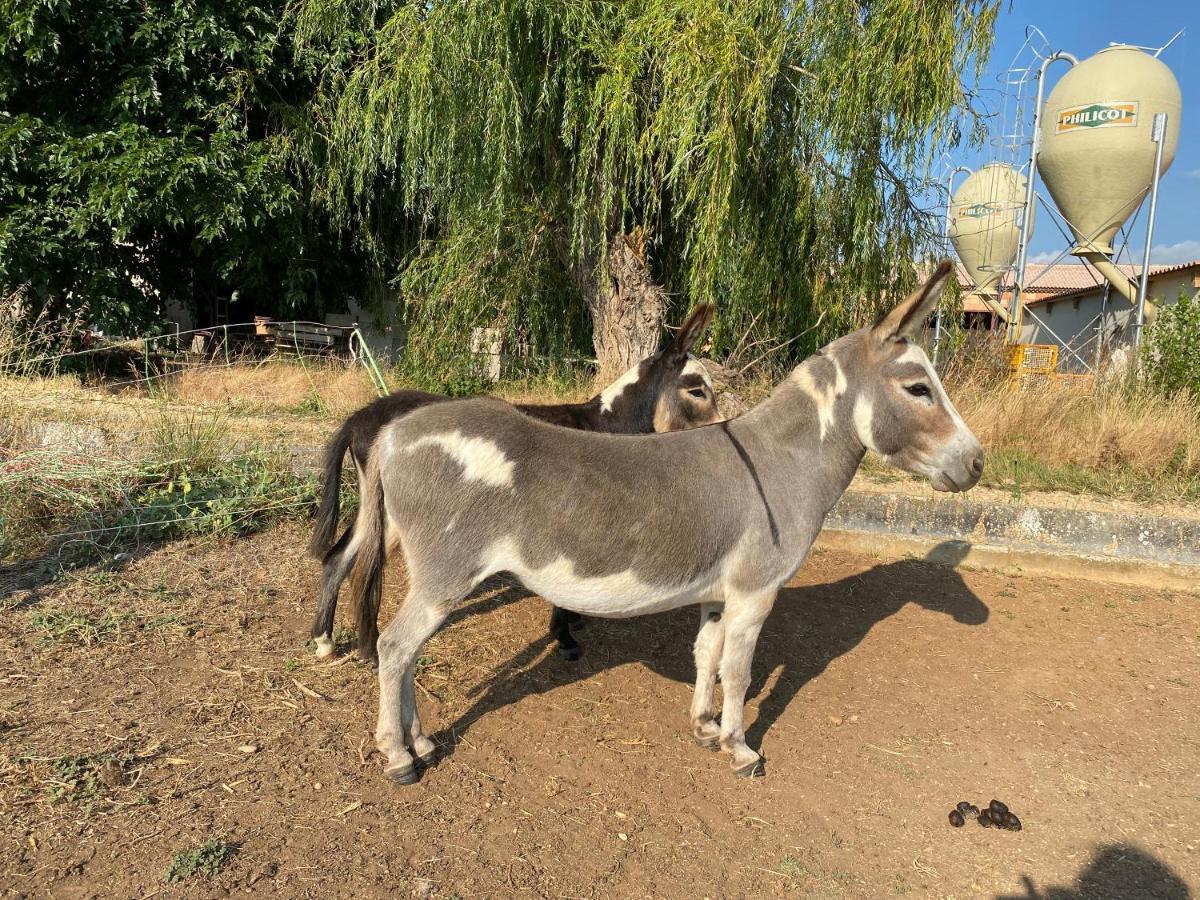 הוילה ארל Studio A La Ferme מראה חיצוני תמונה
