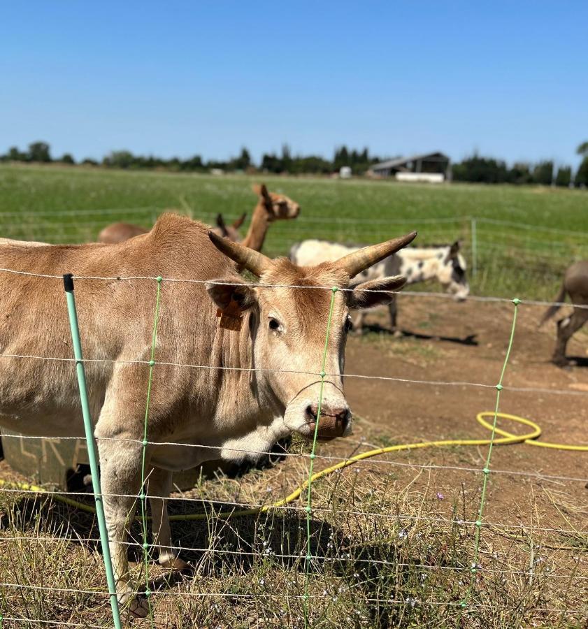 הוילה ארל Studio A La Ferme מראה חיצוני תמונה